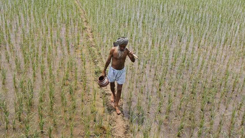 Now farm loans aggravate NPA crisis: Bad debt rises to nearly Rs 9,000 crore in Punjab alone
