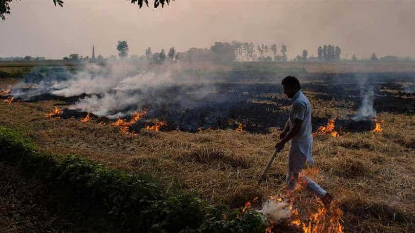 IKEA finds solution to stubble burning in Delhi NCR?
