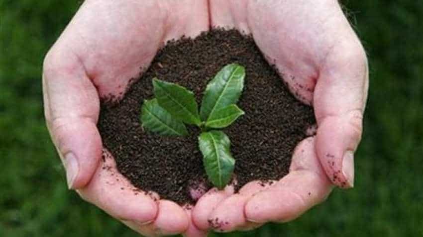NGT allows construction of Noida hospital, but orders planting 1,500 trees for lost green cover NGT allows construction of Noida hospital, but orders planting 1,500 trees for lost green cover