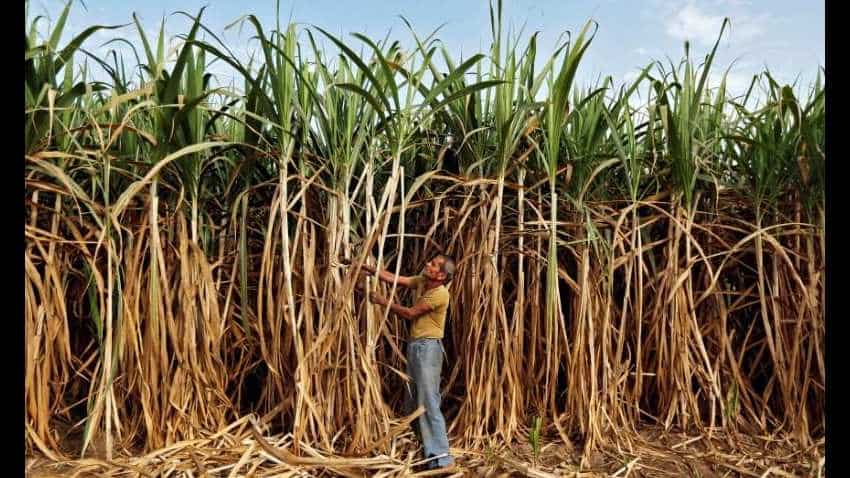  Sugar production in Oct-Nov inches up to 39.73 lakh tonne