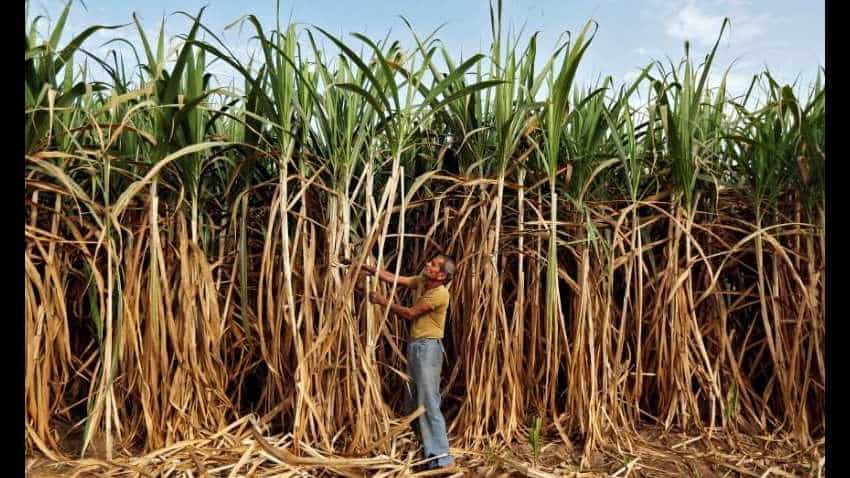 Sugar production in Oct-Nov inches up to 39.73 lakh tonne Sugar production in Oct-Nov inches up to 39.73 lakh tonne