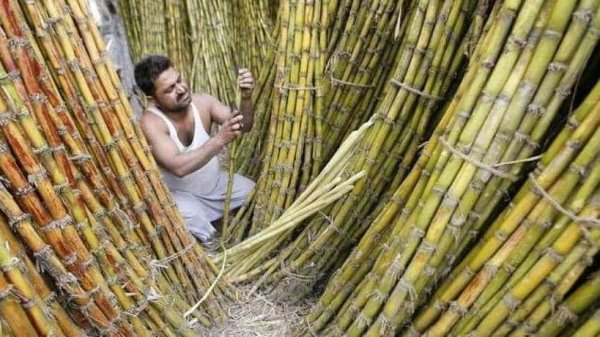Punjab To Pay Rs 25 Per Quintal Extra To Sugarcane Farmers Zee Business Harvested sugarcane is stockpiled in a field. punjab to pay rs 25 per quintal extra