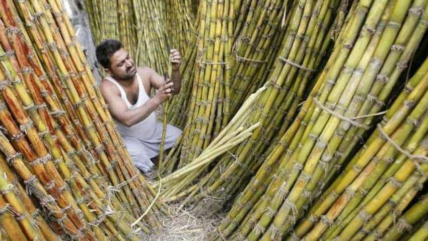 Punjab to pay Rs 25 per quintal extra to sugarcane farmers