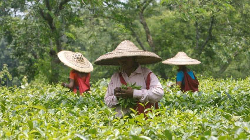 Cabinet approves policy to boost farm exports: Suresh Prabhu Cabinet approves policy to boost farm exports: Suresh Prabhu