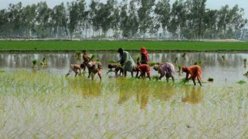 Cabinet clears India&#039;s first agri export policy to double farmers&#039; income