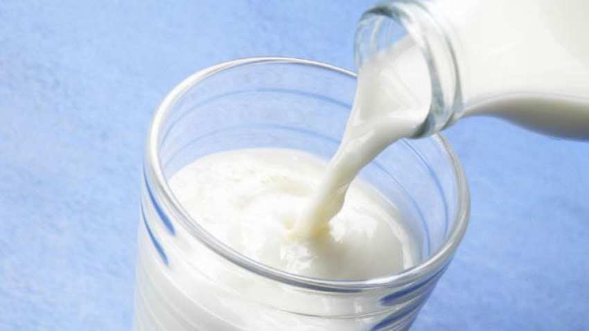 Will plastic ban increase the milk price in Mumbai, rest of Maharashtra? Will plastic ban increase the milk price in Mumbai, rest of Maharashtra?