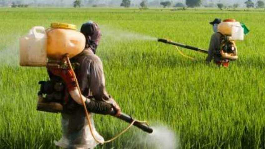 Farmers body says this is why PM Narendra Modi led BJP lost in Hindi heartland of Madhya Pradesh, Chhattisgarh and Rajasthan Farmers body says this is why PM Narendra Modi led BJP lost in Hindi heartland of Madhya Pradesh, Chhattisgarh and Rajasthan