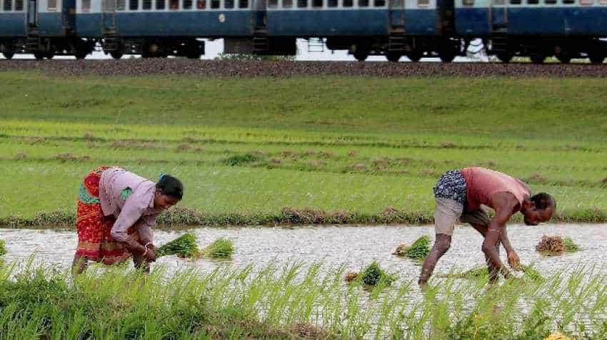 Assam approves Rs 600 cr farm loan waiver Assam approves Rs 600 cr farm loan waiver