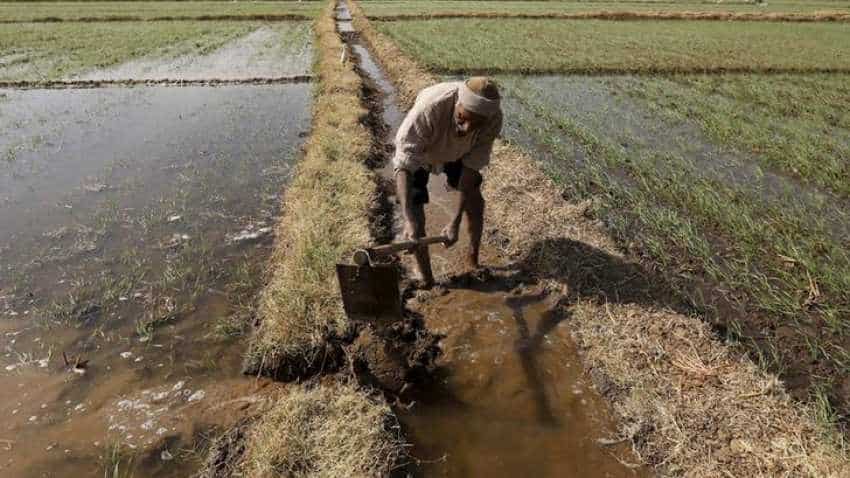 This farmer bows at feet of Collector! You won't believe why; video goes viral Minister fumes This farmer bows at feet of Collector! You won't believe why; video goes viral Minister fumes