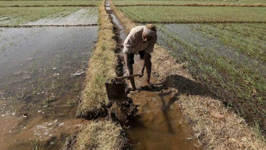 This farmer bows at feet of Collector! You won&#039;t believe why; video goes viral Minister fumes