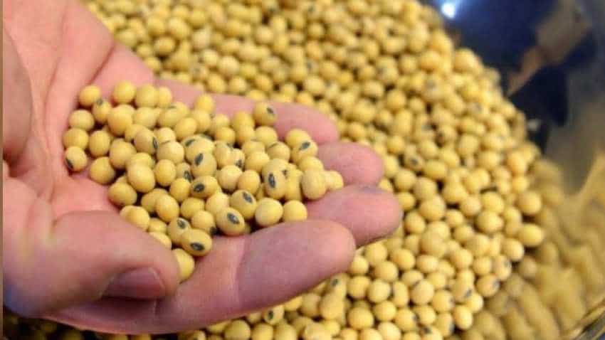 China bows down to US pressure, opens market for GM crops
