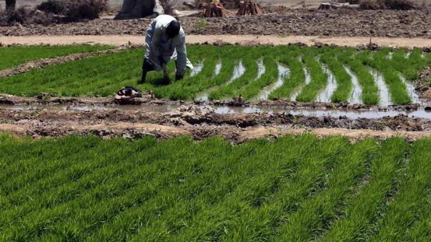 Budget 2019 may bring a reason for big cheer to farmers: What Modi-Jaitley may announce - 'Universal Income Scheme' Budget 2019 may bring a reason for big cheer to farmers: What Modi-Jaitley may announce - 'Universal Income Scheme'