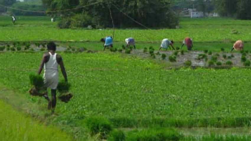 Game changer! Agrarian distress came down, farmers' income grew - Kudos to this Telangana farmer producer organisation Game changer! Agrarian distress came down, farmers' income grew - Kudos to this Telangana farmer producer organisation