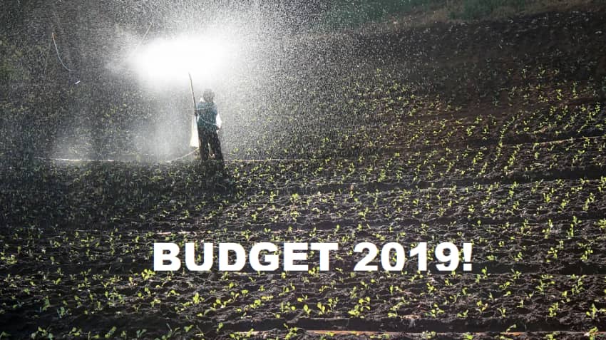 Budget 2019 expectations: What fertiliser sector wants from Modi govt Budget 2019 expectations: What fertiliser sector wants from Modi govt