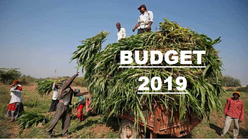 Budget 2019: Ache-din to dawn for farmers? Income to soar! Yes or No? Power points to know Budget 2019: Ache-din to dawn for farmers? Income to soar! Yes or No? Power points to know