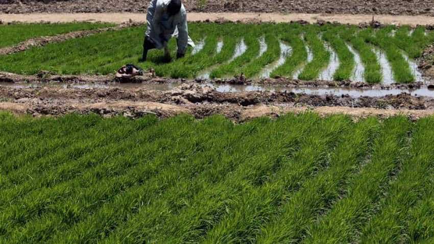 Budget 2019: Big decision for farmers! Rs 6000 to be directly transferred to bank accounts