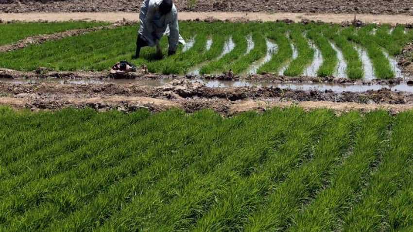 Budget 2019: Big decision for farmers! Rs 6000 to be directly transferred to bank accounts Budget 2019: Big decision for farmers! Rs 6000 to be directly transferred to bank accounts