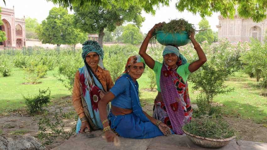 Budget 2019: Piyush Goyal announces allotment of Rs 60,000 crore in MGNREGA; what farmers should know Budget 2019: Piyush Goyal announces allotment of Rs 60,000 crore in MGNREGA; what farmers should know