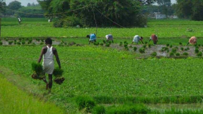 Odisha government sanctions farmers&#039; projects worth Rs 350cr