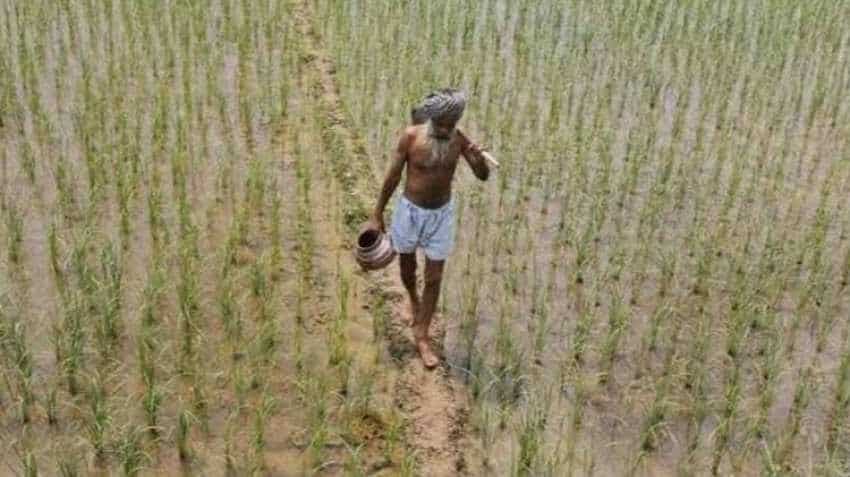 PM Kisan Scheme: Aadhaar optional for 1st installment; compulsory from 2nd onwards PM Kisan Scheme: Aadhaar optional for 1st installment; compulsory from 2nd onwards