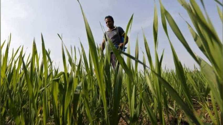Government plans to launch ease of doing agri-business index