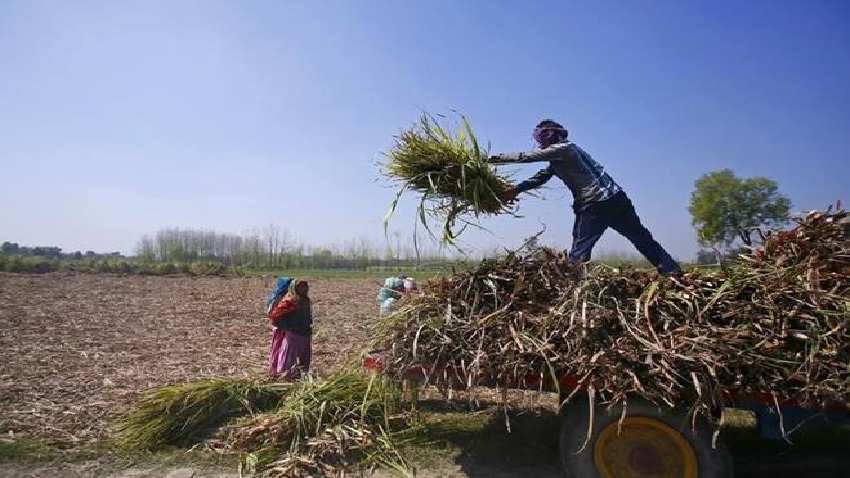Relief for Small and marginal farmers! RBI raises collateral-free farm loan limit to Rs 1.6 lakh Relief for Small and marginal farmers! RBI raises collateral-free farm loan limit to Rs 1.6 lakh