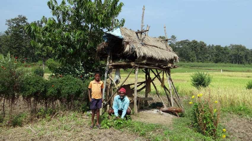 Good news! First Modi, and now RBI - Farmers get another big gift after cash support scheme 