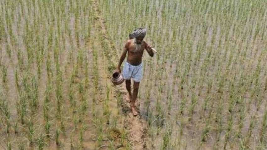 PM-KISAN to provide multiple benefits to farmers, says CEA PM-KISAN to provide multiple benefits to farmers, says CEA
