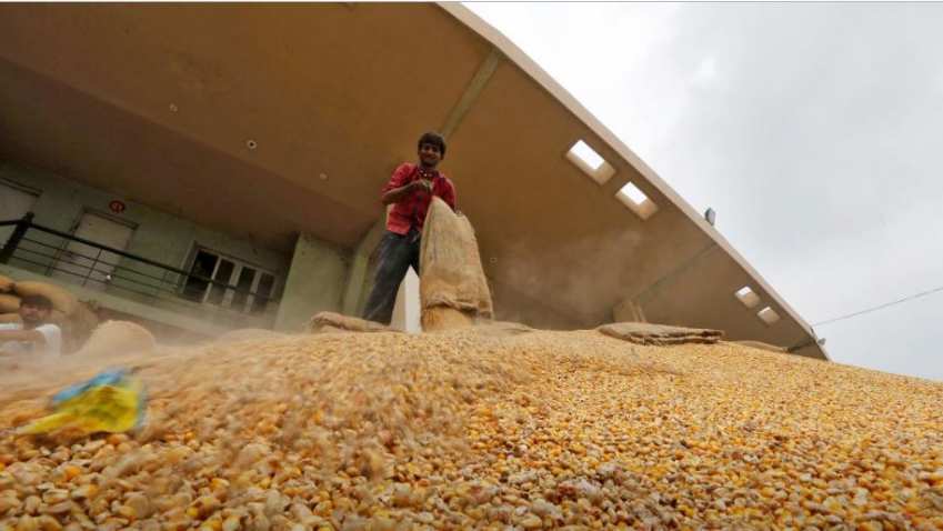 MMTC plans to import corn at lower duties