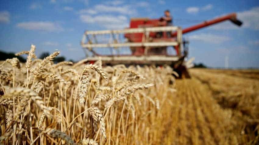 No impact of hailstorm on wheat crop, output may cross 100MT: ICAR Official No impact of hailstorm on wheat crop, output may cross 100MT: ICAR Official