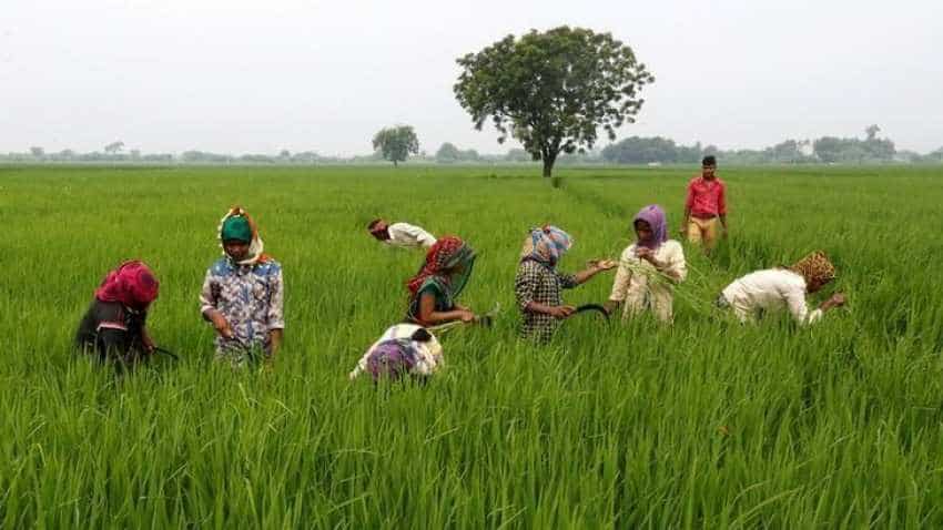 Rajasthan uploads over 1 lakh farmers' applications on PM-KISAN portal Rajasthan uploads over 1 lakh farmers' applications on PM-KISAN portal