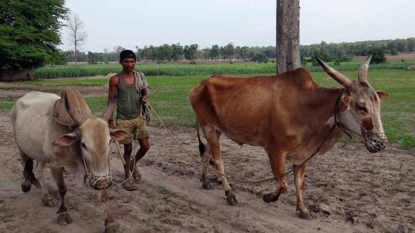 PM Kisan Scheme: Relief for small farmers! Aadhaar seeding not mandatory for second instalment PM Kisan Scheme: Relief for small farmers! Aadhaar seeding not mandatory for second instalment