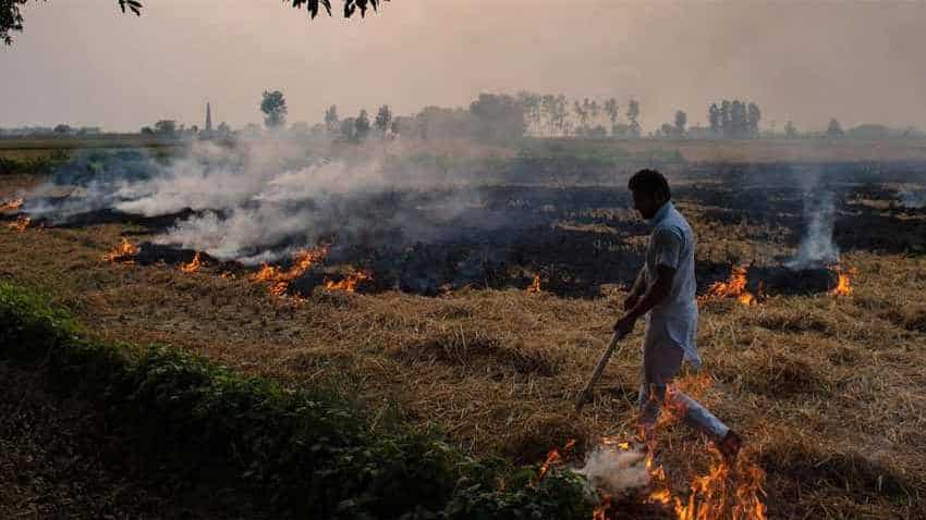 Crop residue burning gobbles up $30 bn annually: Study Crop residue burning gobbles up $30 bn annually: Study