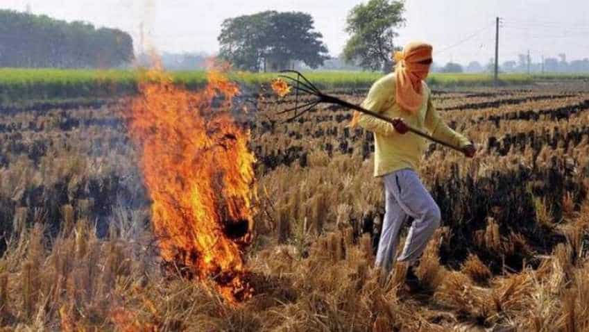 Stubble burning causes nearly $30 billion economic losses annually in India: Study