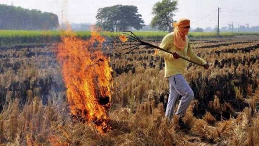 Stubble burning causes nearly $30 billion economic losses annually in India: Study Stubble burning causes nearly $30 billion economic losses annually in India: Study