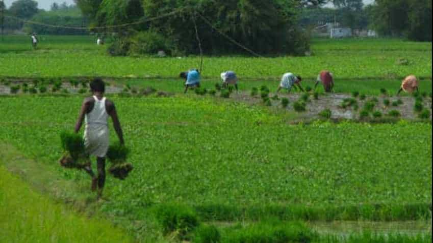Irdai asks insures for easy crop insurance claim settlement, use of vernacular language Irdai asks insures for easy crop insurance claim settlement, use of vernacular language