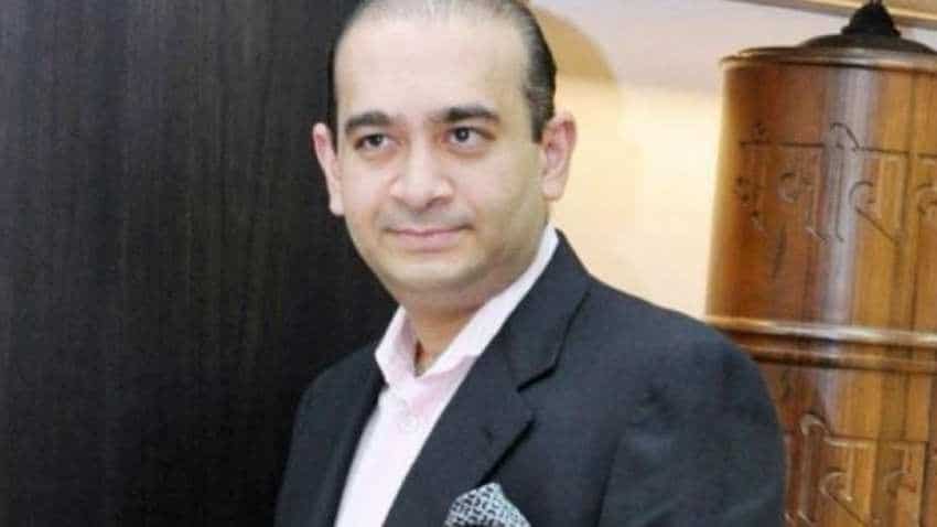 Nirav Modi's defence team even uses his pet dog in attempt to win bail Nirav Modi's defence team even uses his pet dog in attempt to win bail