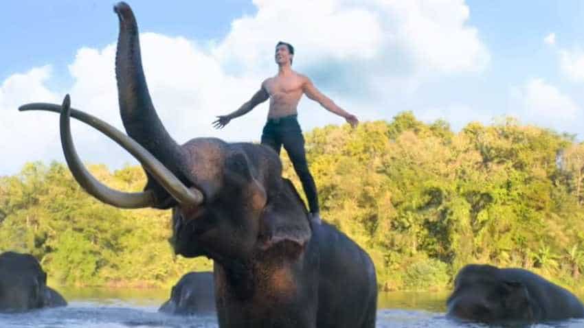 Junglee Box Office Collection Vidyut Jammwal Starrer Recovers Earns Rs 13 85 Cr Zee Business All amounts in their respective local currencies. junglee box office collection vidyut