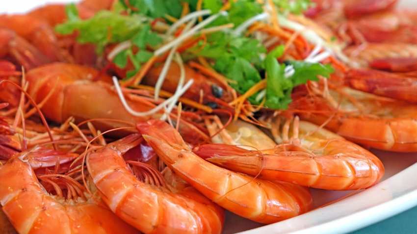 Shrimp business to bring revival for these farmers - You should buy this stock to get rich ahead