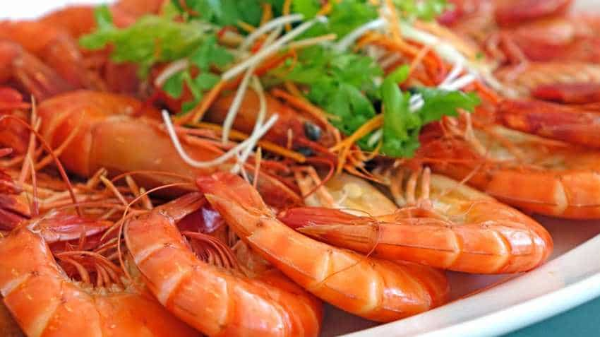 Shrimp business to bring revival for these farmers - You should buy this stock to get rich ahead