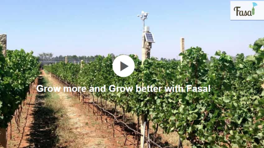 How this Agritech startup is helping farmers in India How this Agritech startup is helping farmers in India