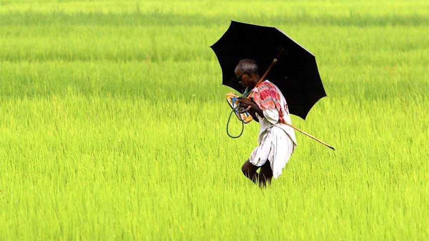 India has scope for cutting food, fertiliser subsidies: IMF