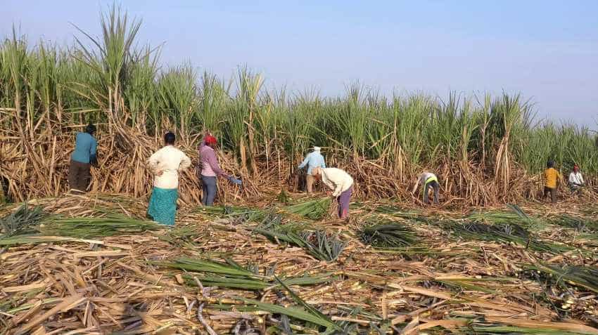 Contract farming may pave way for prosperity, enhance farmers&#039; income