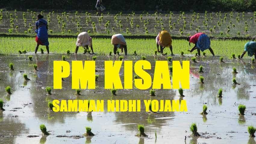 PM Kisan Samman Nidhi Yojana List 2019: These farmers to benefit - Check revised eligibility, official website PM Kisan Samman Nidhi Yojana List 2019: These farmers to benefit - Check revised eligibility, official website