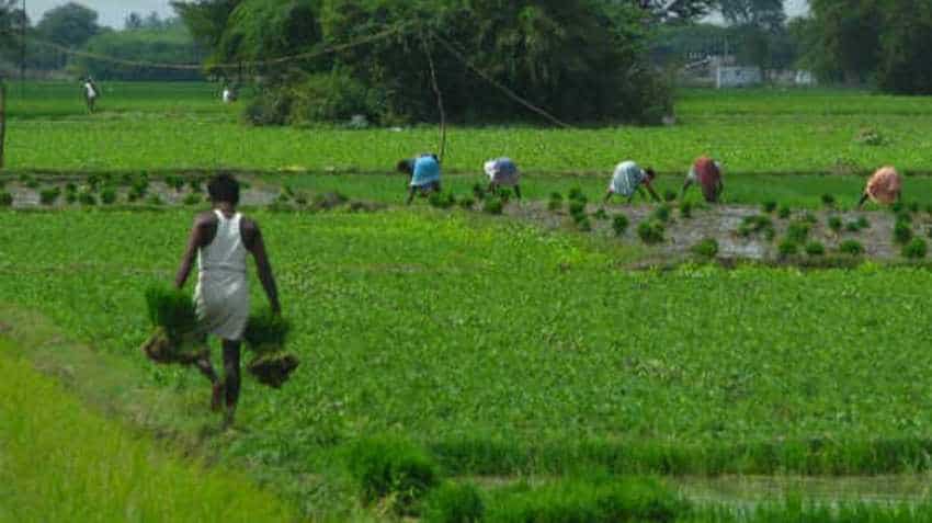 PM-KISAN scheme: Govt notifies extension of plan to all farmers; state govts asked to identify beneficiaries PM-KISAN scheme: Govt notifies extension of plan to all farmers; state govts asked to identify beneficiaries