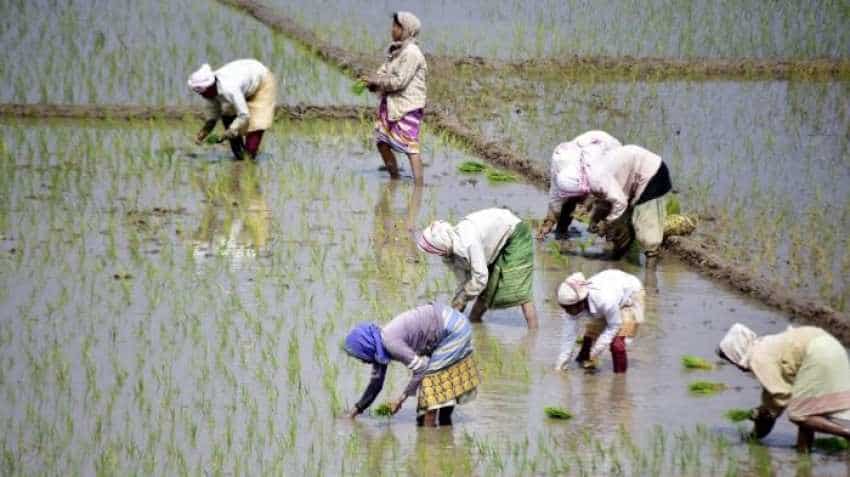 PM-Kisan Pension: Farmers' contribution to be Rs 100/month PM-Kisan Pension: Farmers' contribution to be Rs 100/month