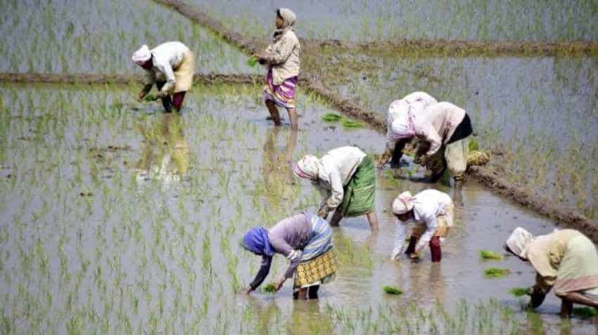 PM-Kisan Pension: Farmers&#039; contribution to be Rs 100/month