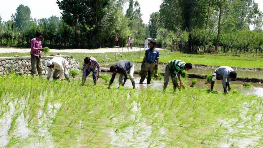 Good news for farmers! Social security pension of Rs 3000 per month approved