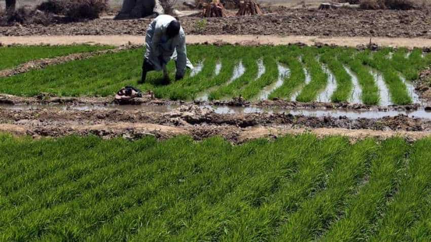 Budget 2019 Expectations: SBI recommends these 5 measures to improve Indian agriculture sector, double farm income Budget 2019 Expectations: SBI recommends these 5 measures to improve Indian agriculture sector, double farm income
