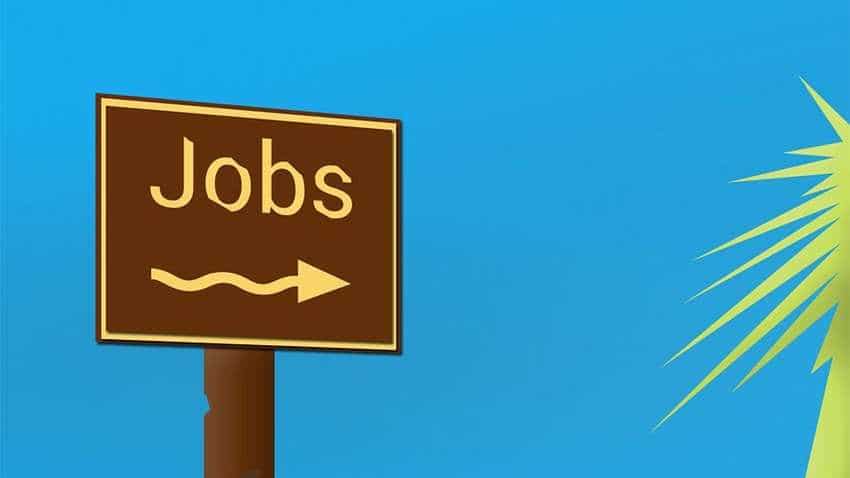 NHM Mumbai Recruitment 2019: Vacancy for 38 Programmer ...